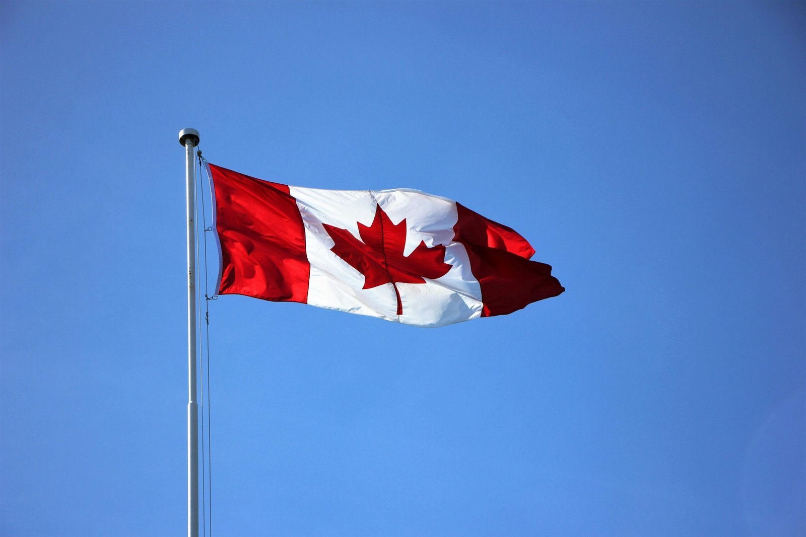 Picture of a Canadian flag